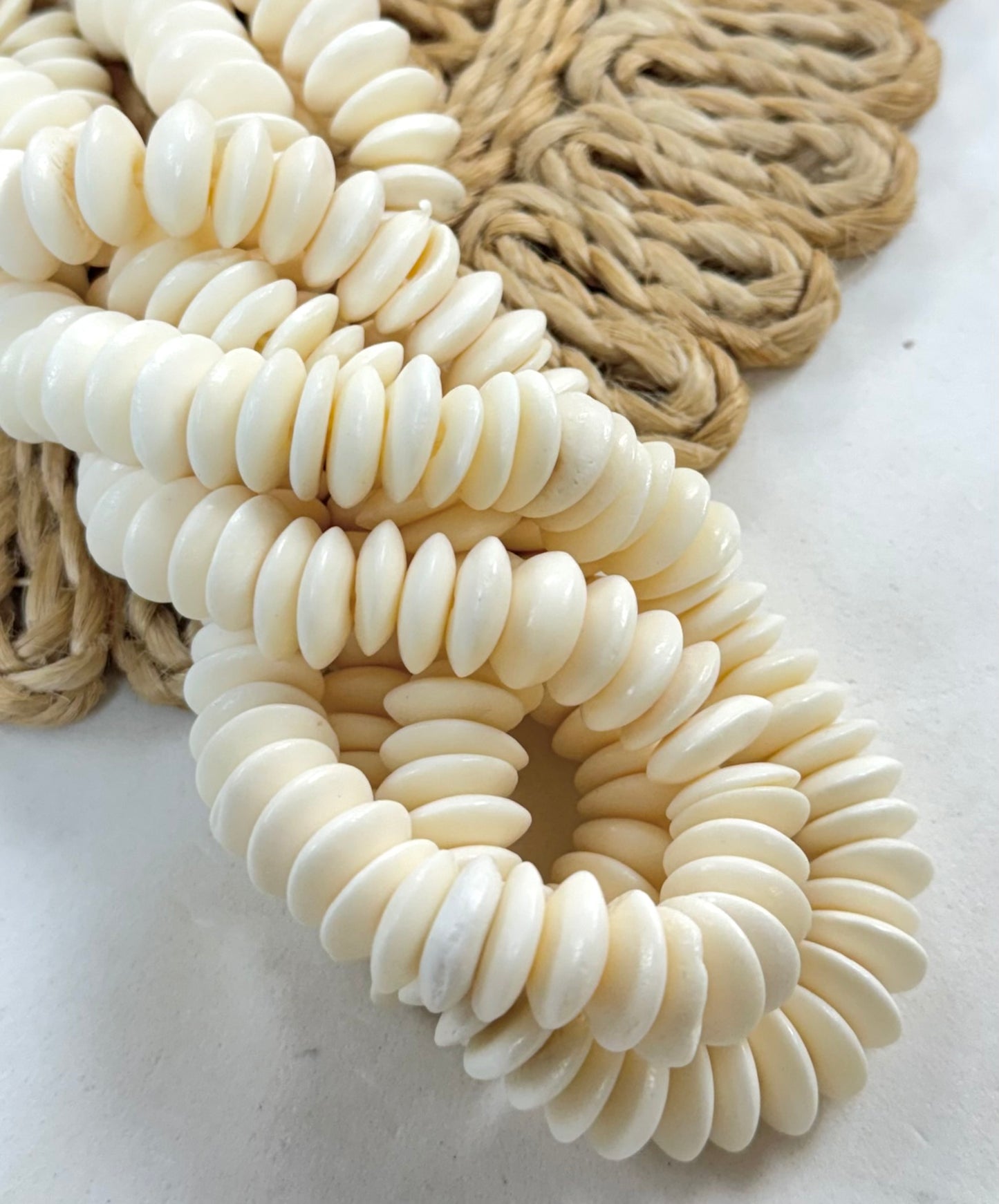 Bone Discs