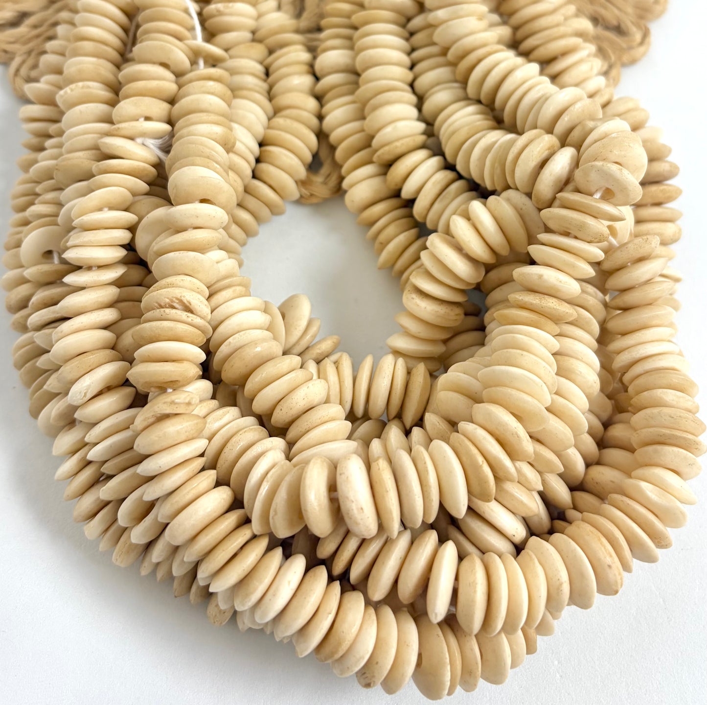 Bone Discs