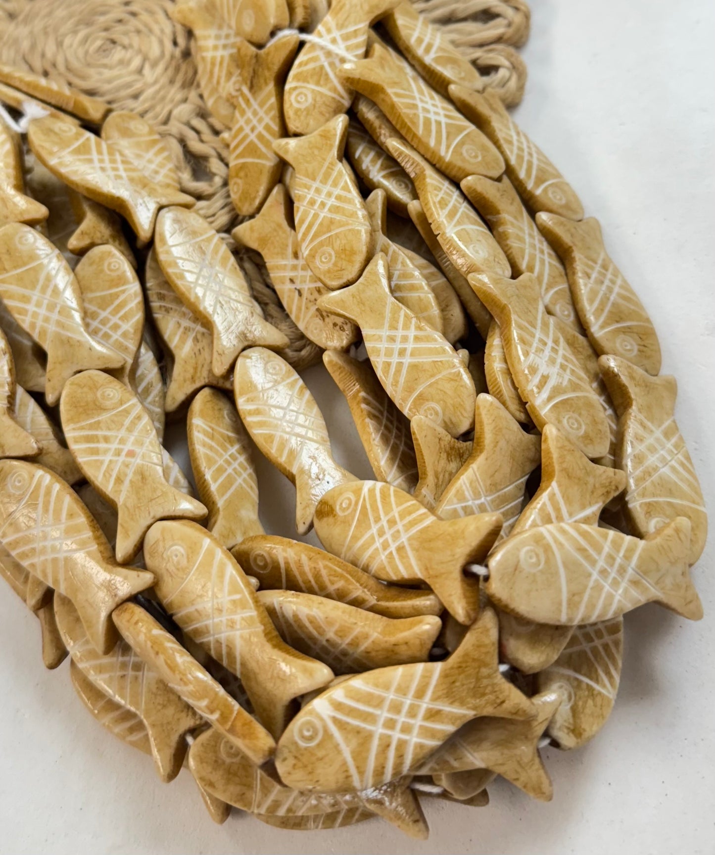 Large Bone Fish
