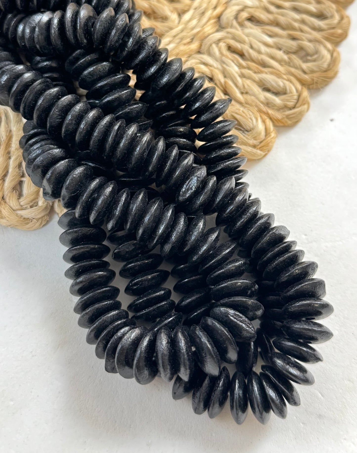 Bone Discs