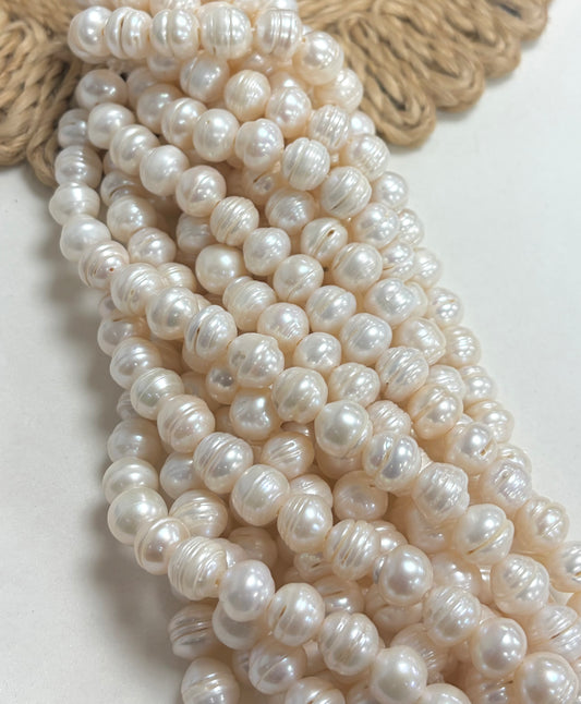 10mm Rondel Freshwater Pearl Con Hueco Ancho